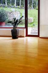 foresteproduct_1-8.jpg