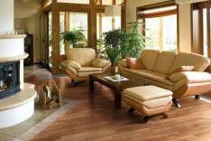 foresteproduct_10-5.jpg