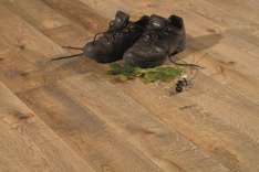 foresteproduct_12-6.jpg