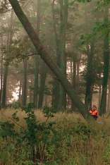 foresteproduct_3-6.jpg