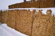 foresteproduct_4-3.jpg