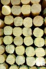 foresteproduct_4-6.jpg