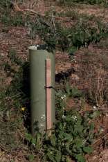 foresteproduct_4-7.jpg