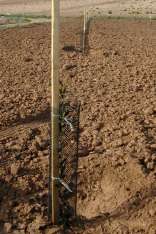 foresteproduct_4-9.jpg