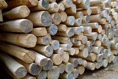 foresteproduct_7-1.jpg