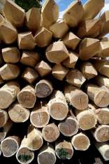 foresteproduct_7-3.jpg