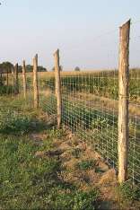 foresteproduct_7-8.jpg