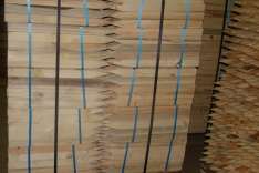 foresteproduct_8-2.jpg